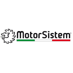 Motorsistem Miglioratore di Ottani Benzina litri 1 cod. 2140L1