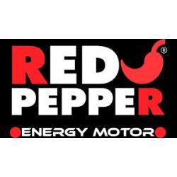RED PEPPER Antigelo per gasolio con azione  ACQUA STOP ML. 300